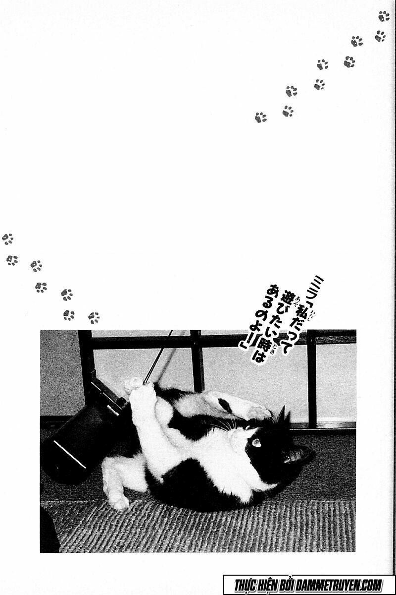 Shin Kotaro Makaritoru! Juudouhen: Chapter 156