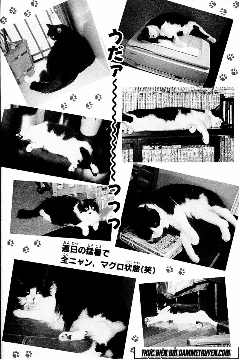 Shin Kotaro Makaritoru! Juudouhen: Chapter 205