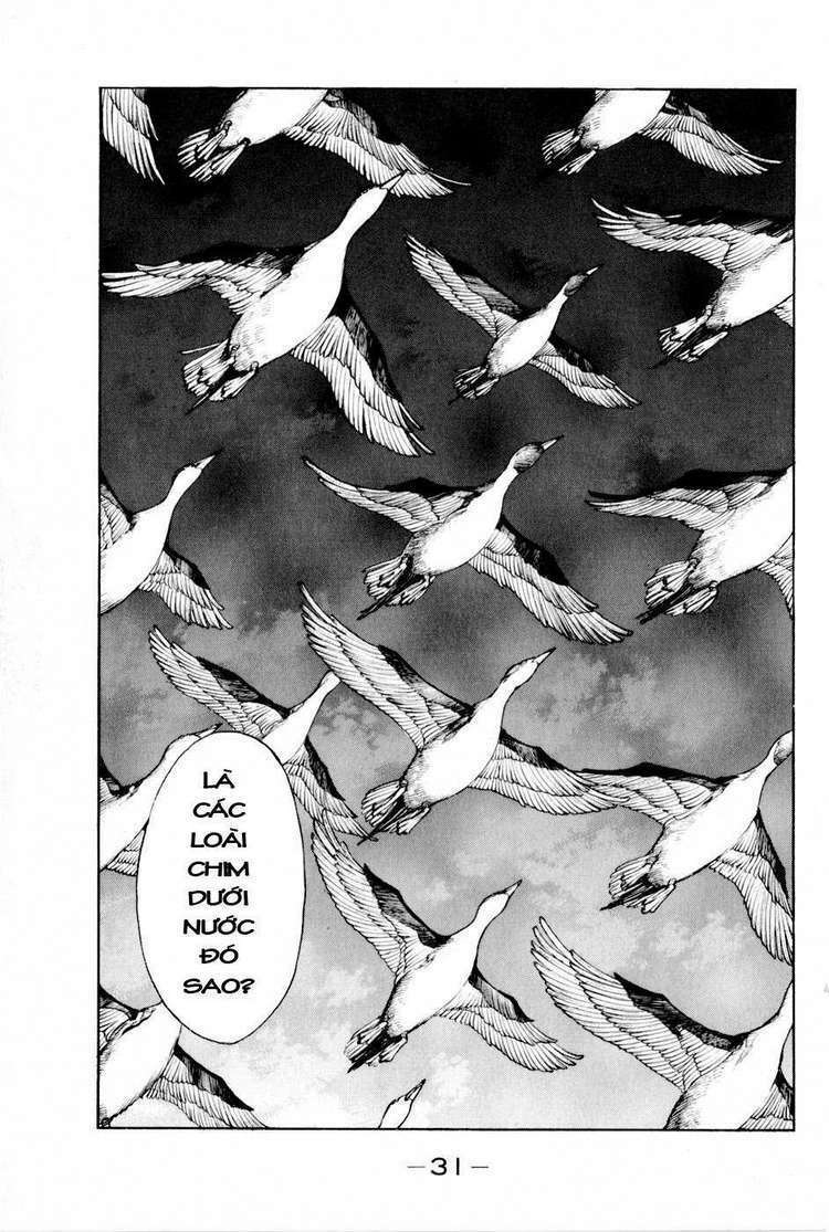 Thiếu niên vương phần 2: Chapter 13