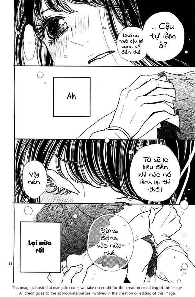 Love Mania Sock: Chapter 1: One shot