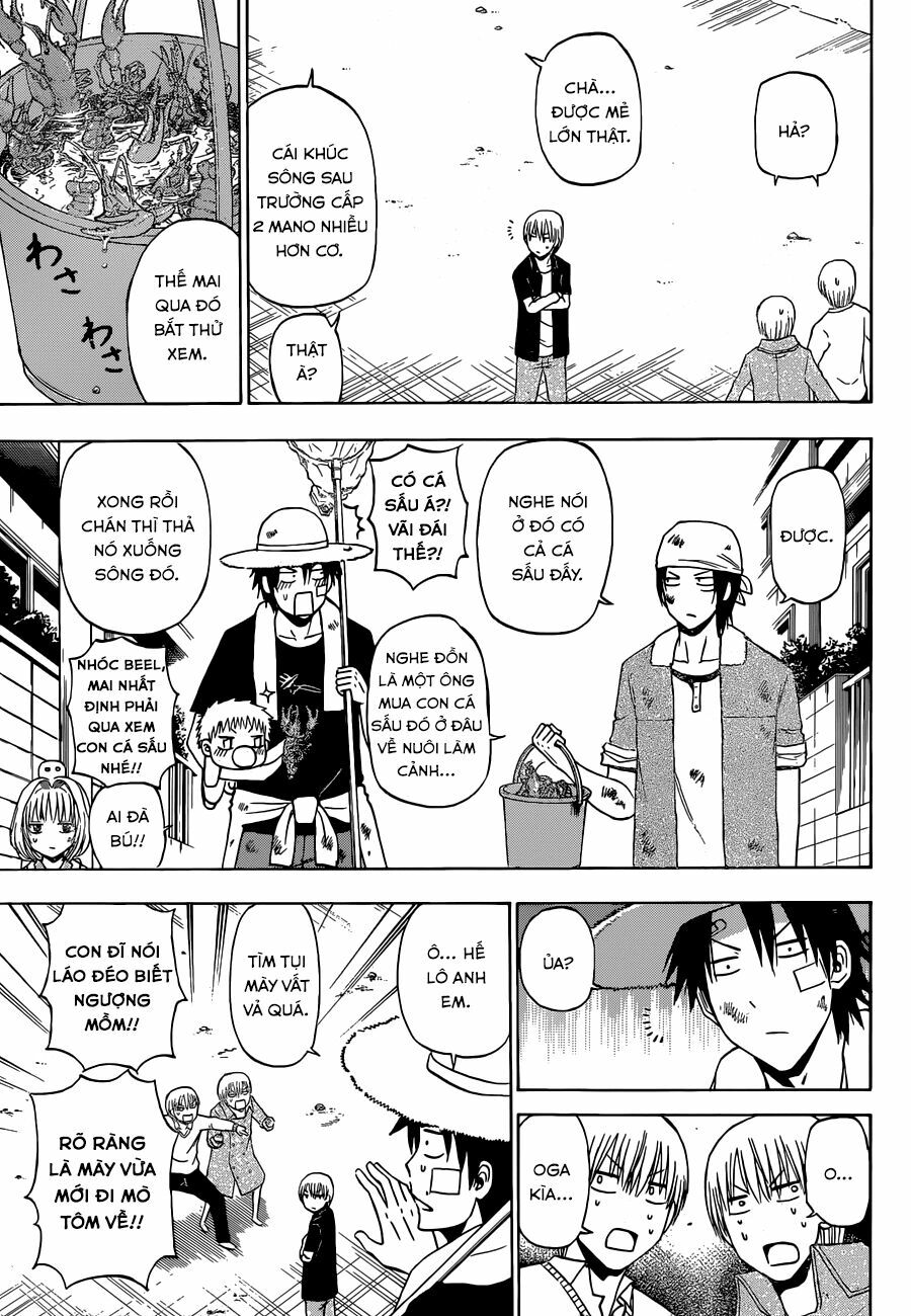 Beelzebub - Vua Quỷ: Chapter 223