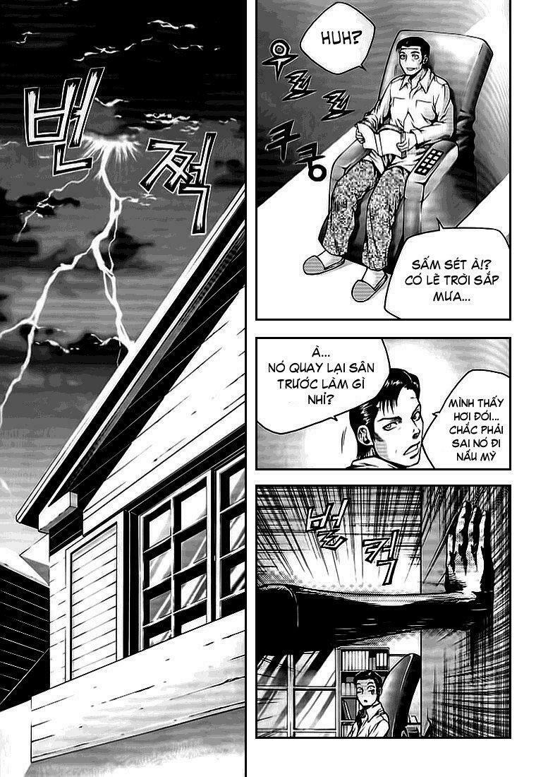 Zippy Ziggy: Chapter 19