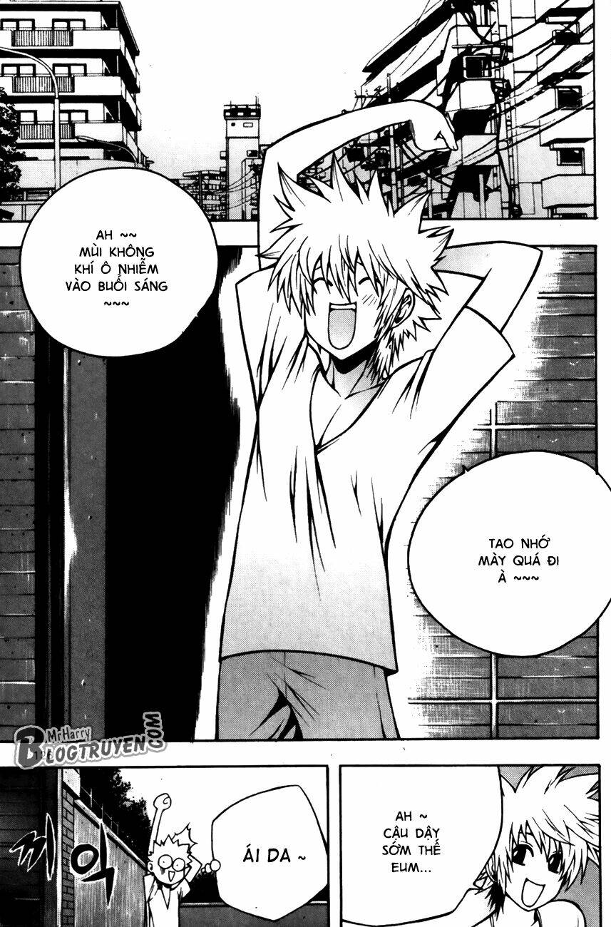 Zippy Ziggy: Chapter 84