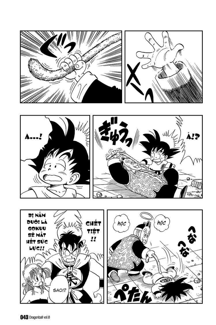 Dragon Ball - Bảy Viên Ngọc Rồng: Chapter 107