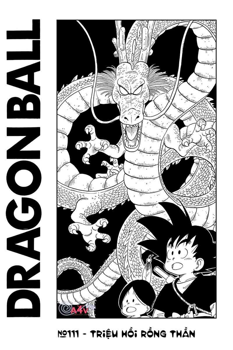 Dragon Ball - Bảy Viên Ngọc Rồng: Chapter 111