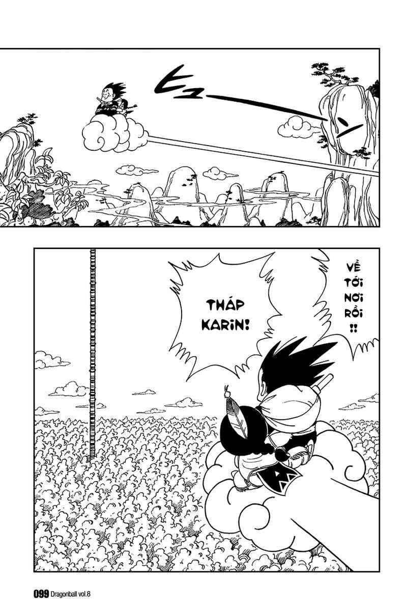 Dragon Ball - Bảy Viên Ngọc Rồng: Chapter 111