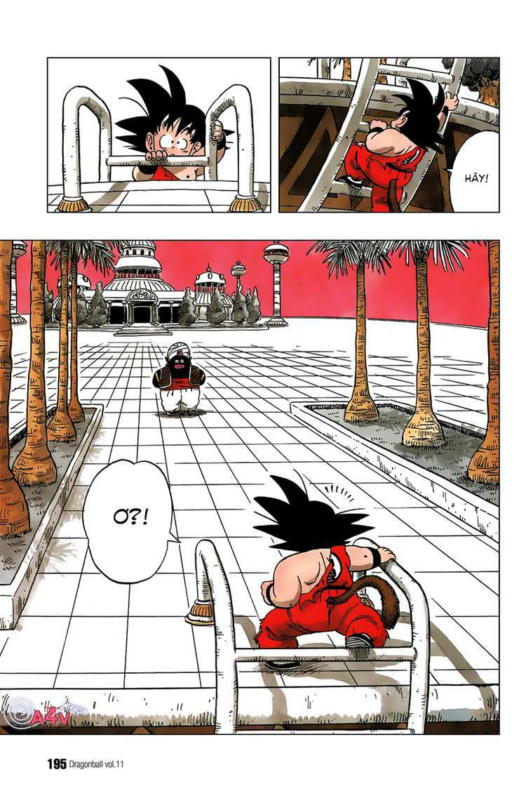 Dragon Ball - Bảy Viên Ngọc Rồng: Chapter 163