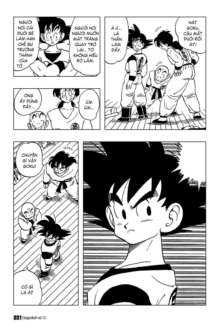 Dragon Ball - Bảy Viên Ngọc Rồng: Chapter 166