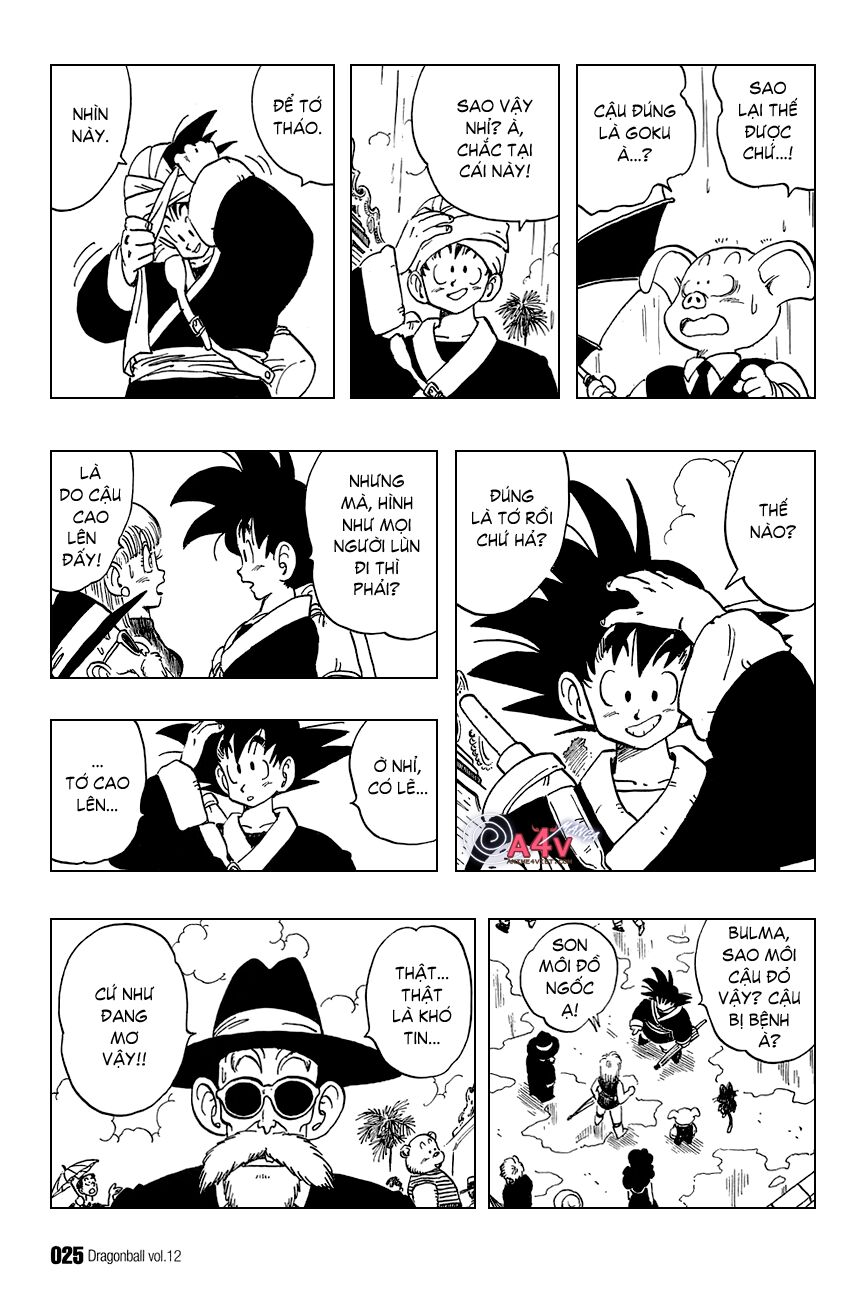 Dragon Ball - Bảy Viên Ngọc Rồng: Chapter 166