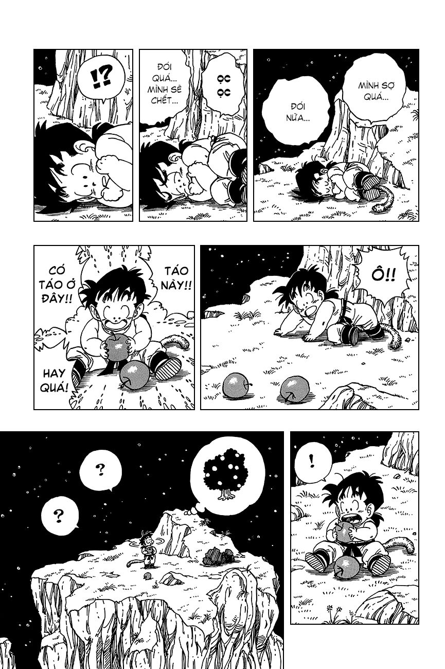 Dragon Ball - Bảy Viên Ngọc Rồng: Chapter 207