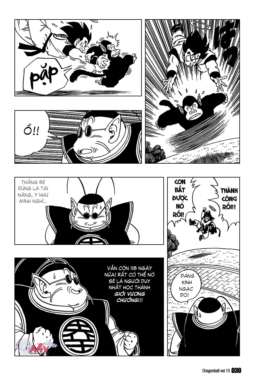 Dragon Ball - Bảy Viên Ngọc Rồng: Chapter 211