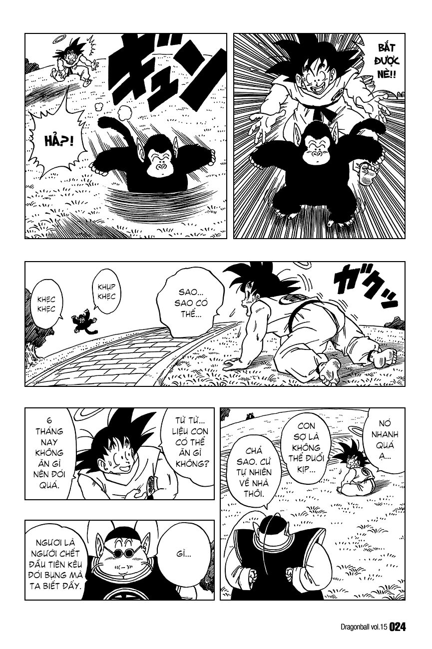 Dragon Ball - Bảy Viên Ngọc Rồng: Chapter 211