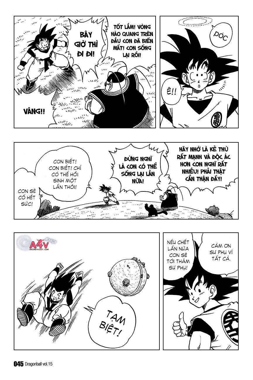 Dragon Ball - Bảy Viên Ngọc Rồng: Chapter 212