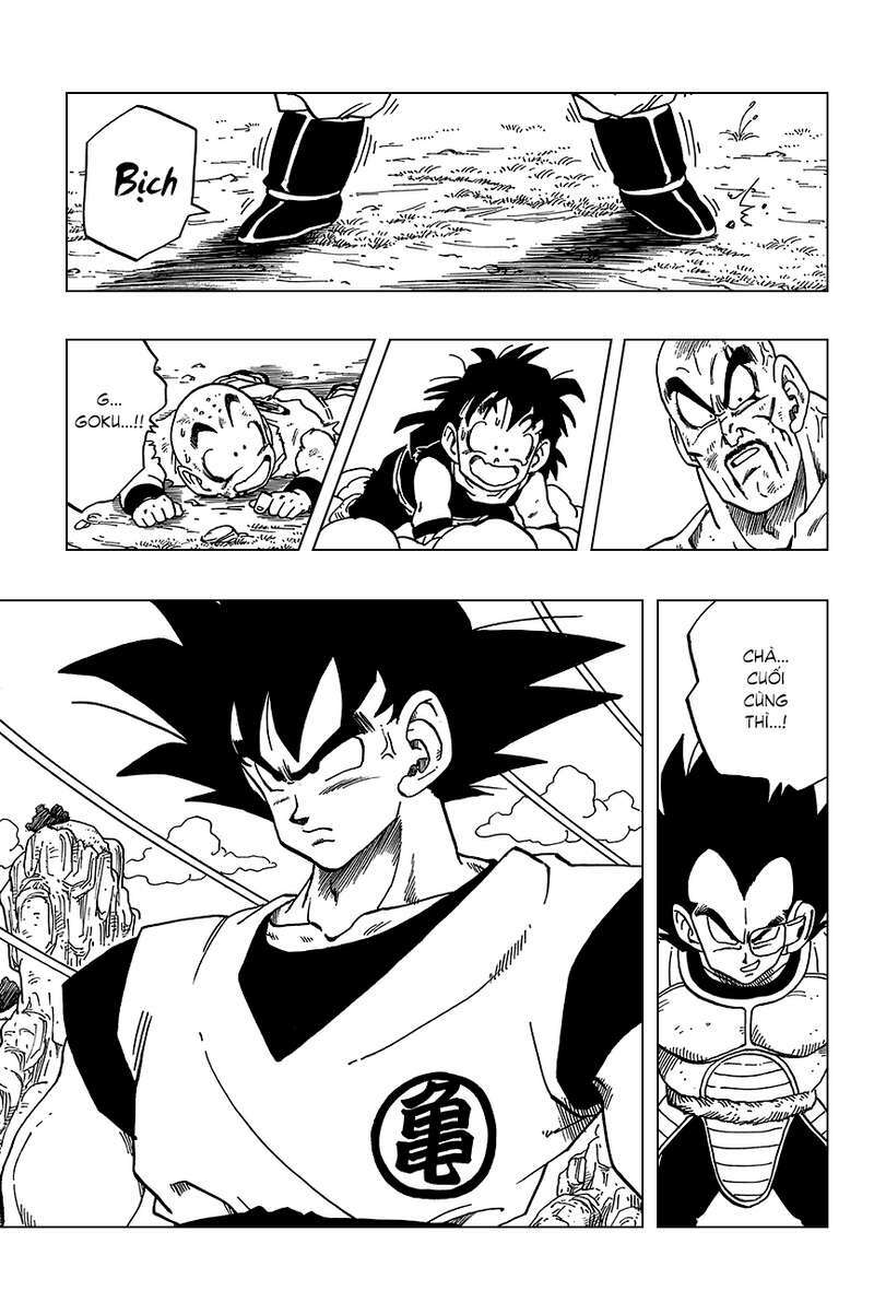 Dragon Ball - Bảy Viên Ngọc Rồng: Chapter 223