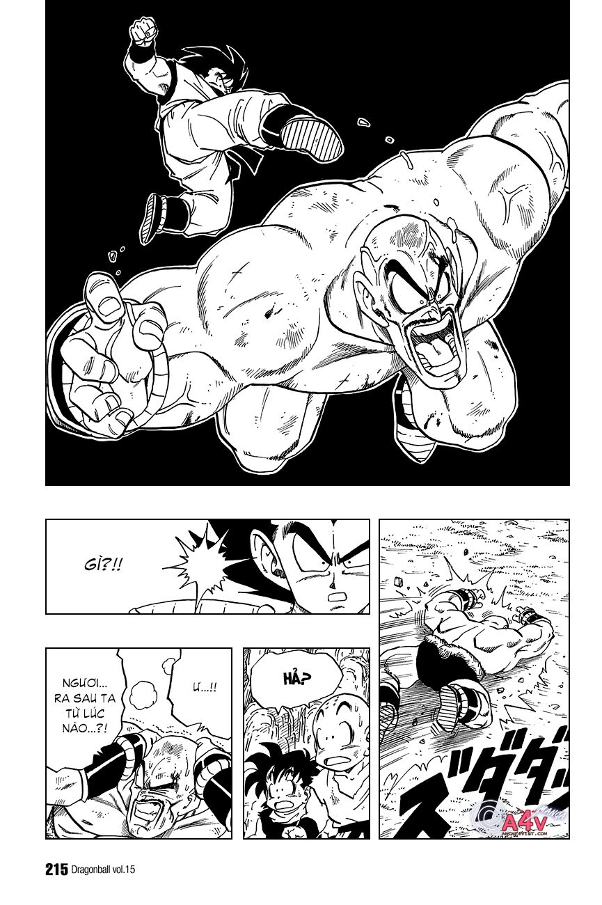 Dragon Ball - Bảy Viên Ngọc Rồng: Chapter 224