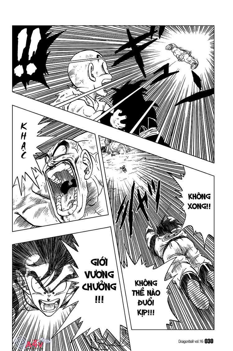 Dragon Ball - Bảy Viên Ngọc Rồng: Chapter 226