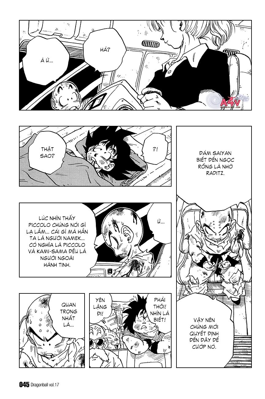 Dragon Ball - Bảy Viên Ngọc Rồng: Chapter 242