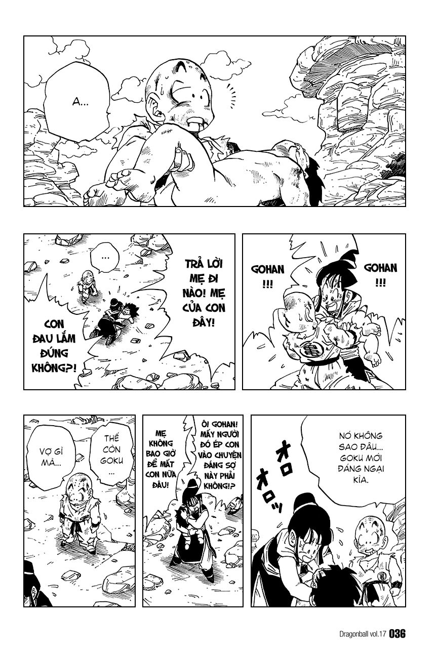 Dragon Ball - Bảy Viên Ngọc Rồng: Chapter 242