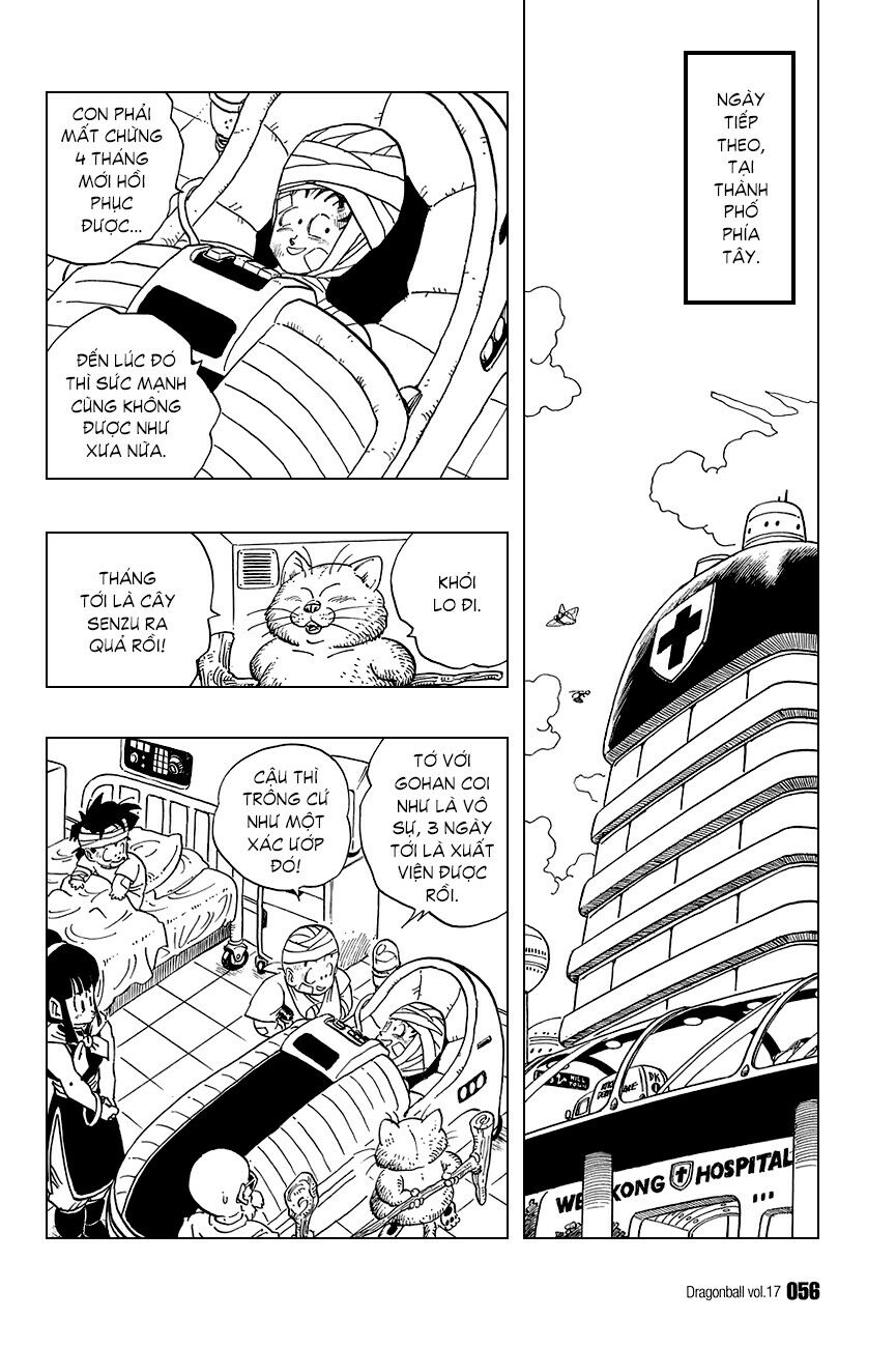 Dragon Ball - Bảy Viên Ngọc Rồng: Chapter 243
