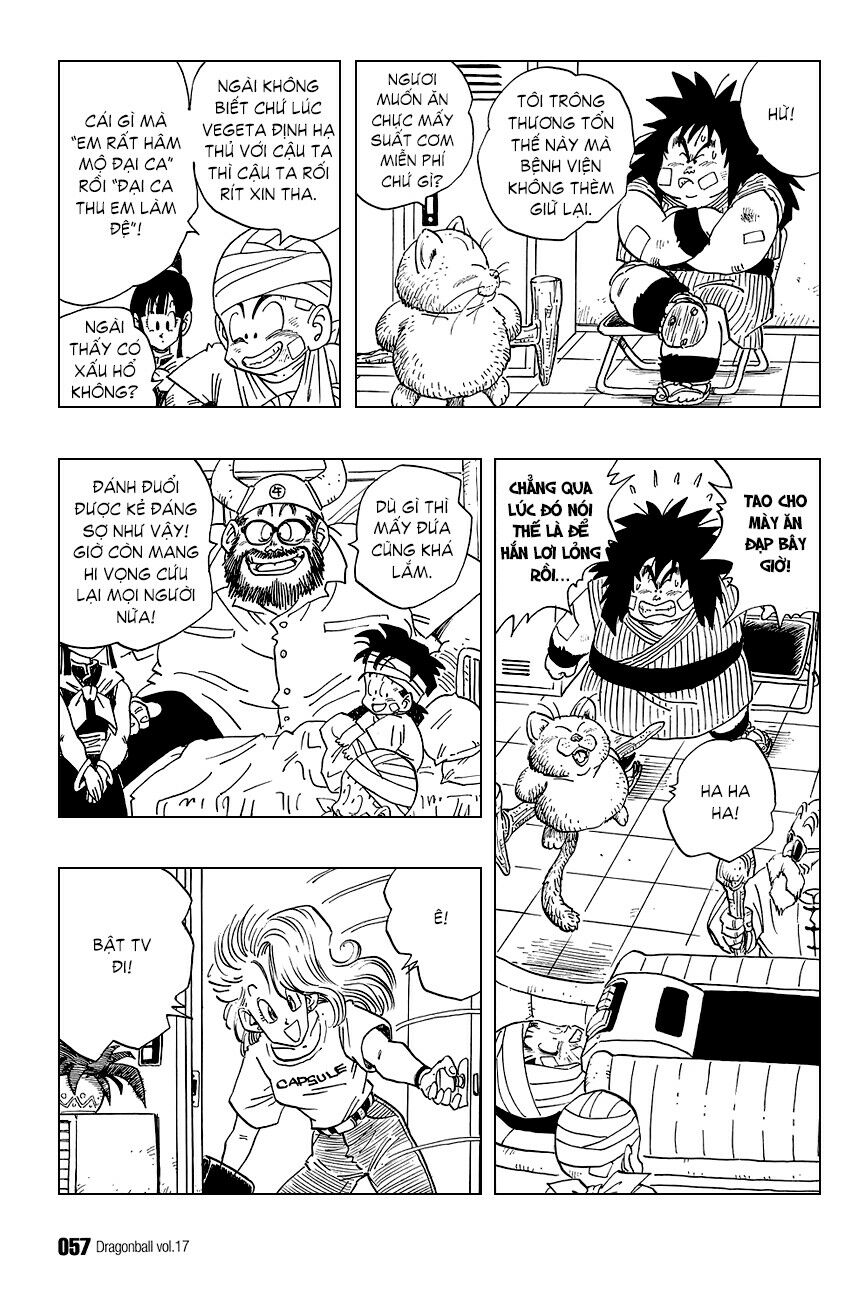 Dragon Ball - Bảy Viên Ngọc Rồng: Chapter 243