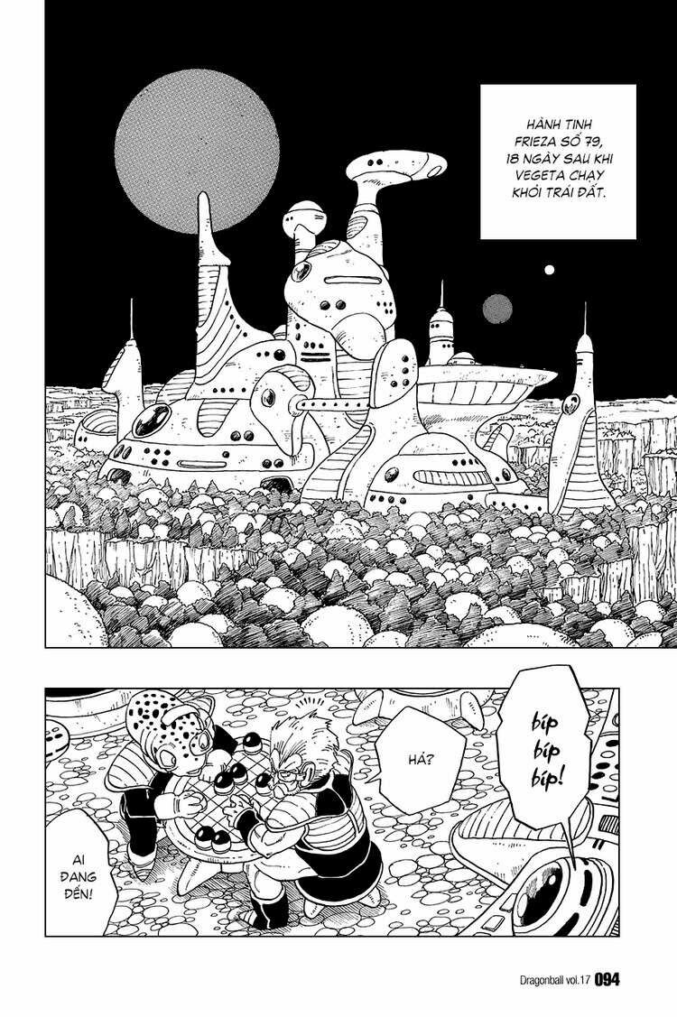 Dragon Ball - Bảy Viên Ngọc Rồng: Chapter 246