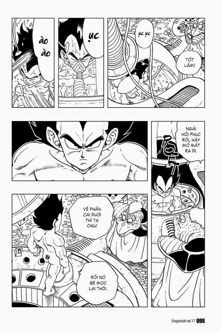 Dragon Ball - Bảy Viên Ngọc Rồng: Chapter 246
