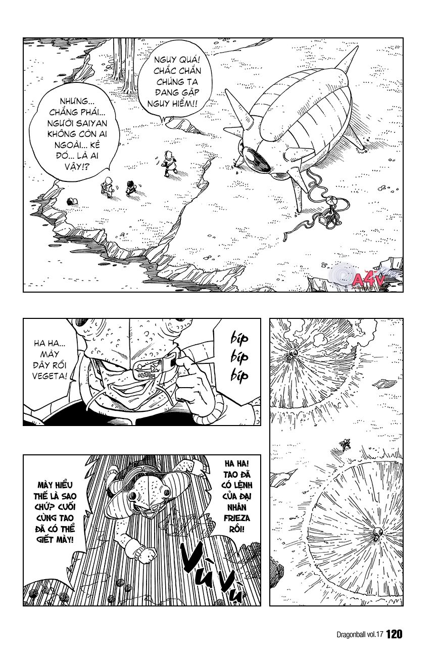 Dragon Ball - Bảy Viên Ngọc Rồng: Chapter 248