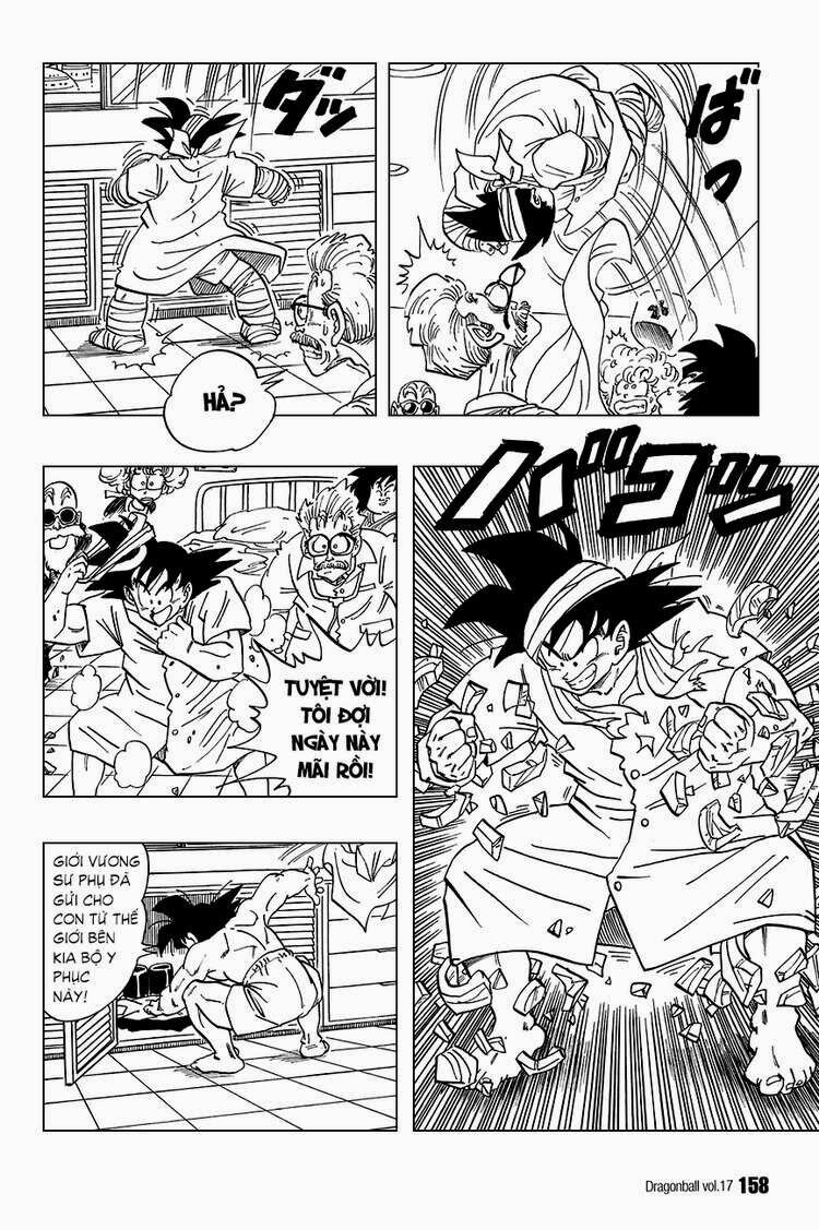 Dragon Ball - Bảy Viên Ngọc Rồng: Chapter 250