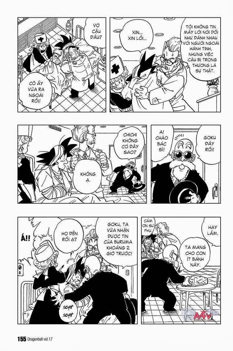 Dragon Ball - Bảy Viên Ngọc Rồng: Chapter 250