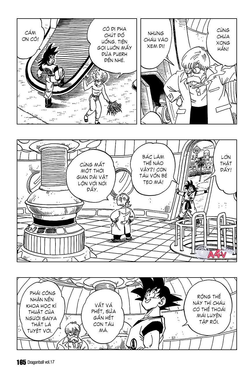 Dragon Ball - Bảy Viên Ngọc Rồng: Chapter 251