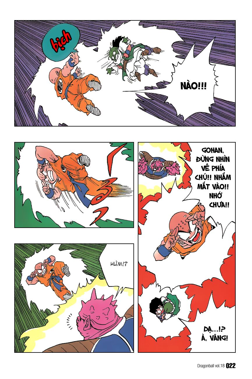 Dragon Ball - Bảy Viên Ngọc Rồng: Chapter 256