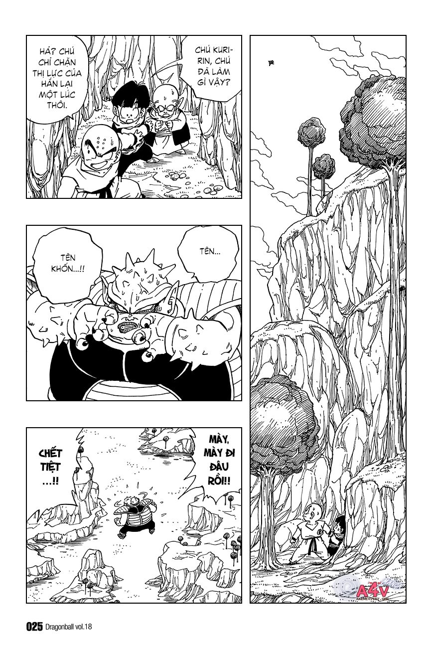 Dragon Ball - Bảy Viên Ngọc Rồng: Chapter 256
