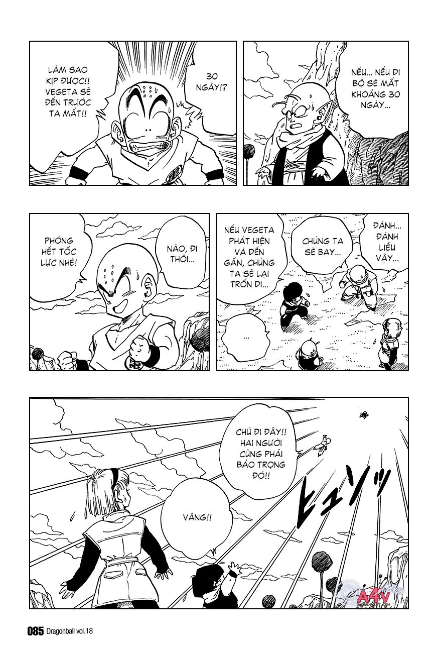 Dragon Ball - Bảy Viên Ngọc Rồng: Chapter 260
