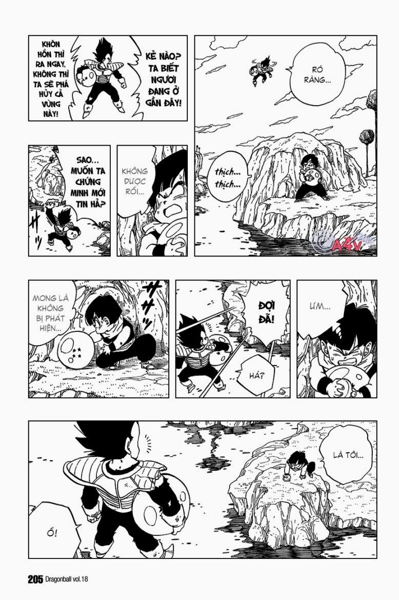 Dragon Ball - Bảy Viên Ngọc Rồng: Chapter 269