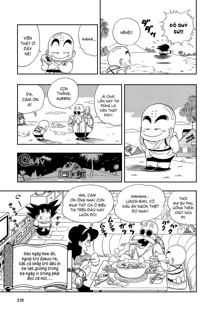 Dragon Ball - Bảy Viên Ngọc Rồng: Chapter 29