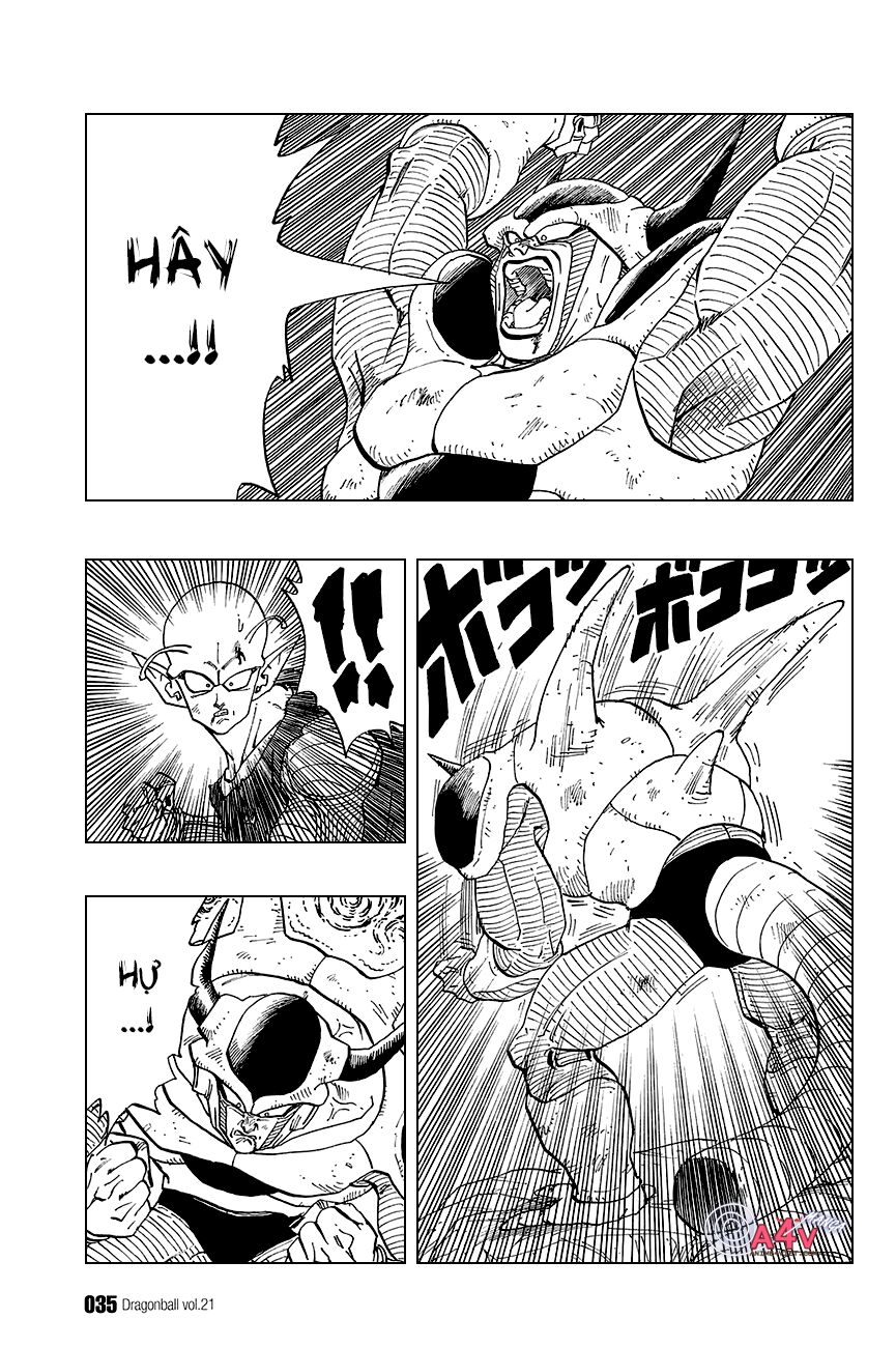 Dragon Ball - Bảy Viên Ngọc Rồng: Chapter 302