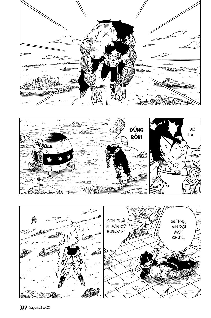 Dragon Ball - Bảy Viên Ngọc Rồng: Chapter 319