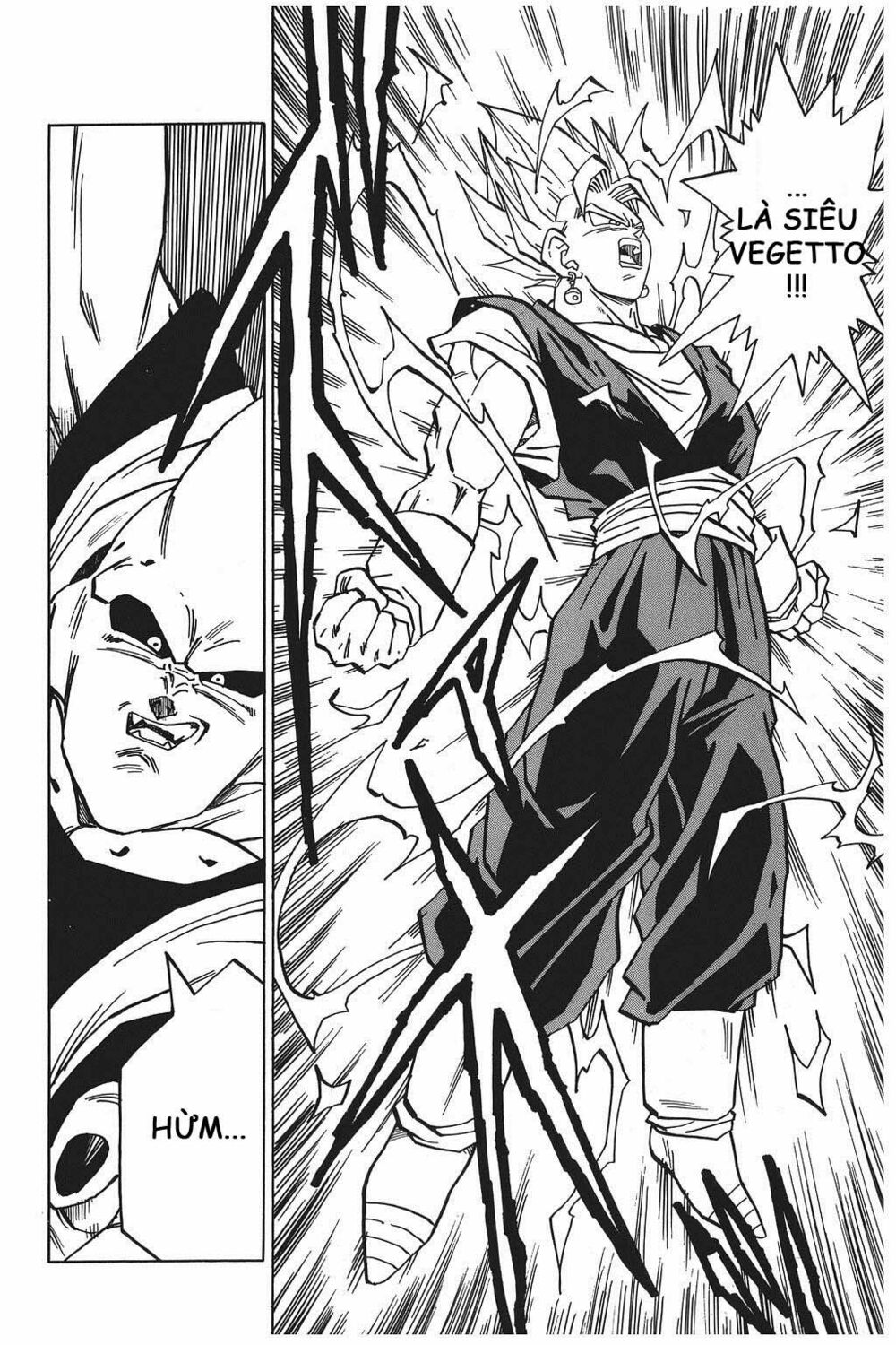 Dragon Ball - Bảy Viên Ngọc Rồng: Chapter 504