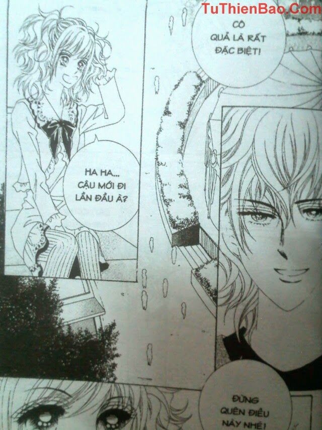 Tình trong mộng: Chapter 8