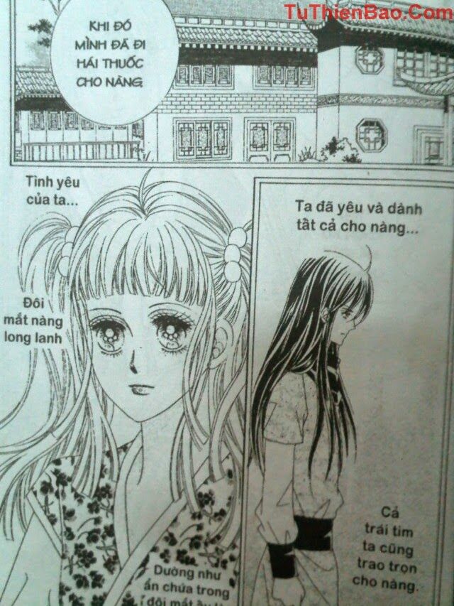 Tình trong mộng: Chapter 8