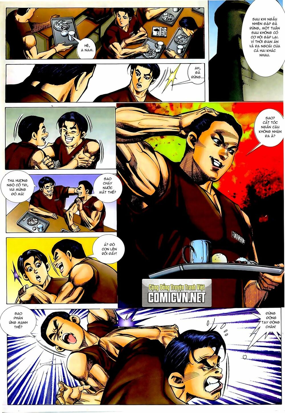 Thiếu niên Trần Hạo Nam: Chapter 16: Long tranh Hổ đấu