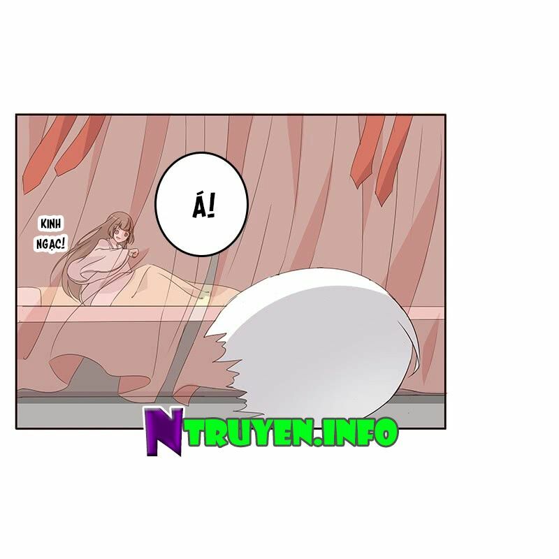 Thông Linh Phi: Chapter 163