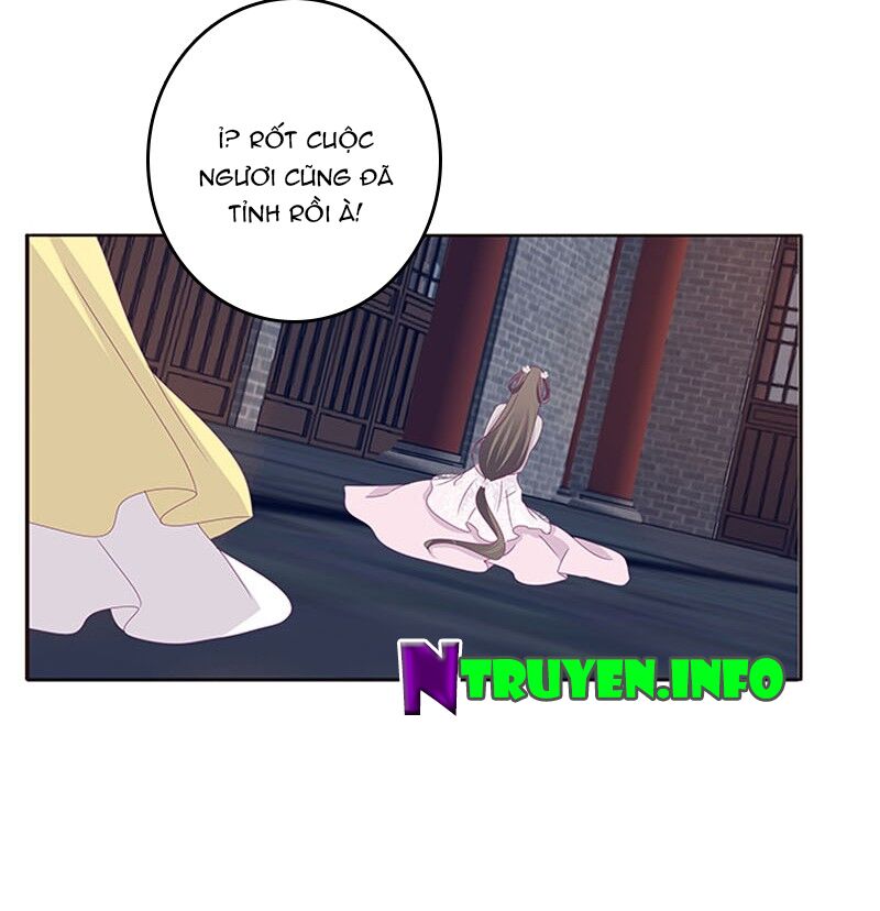 Thông Linh Phi: Chapter 329