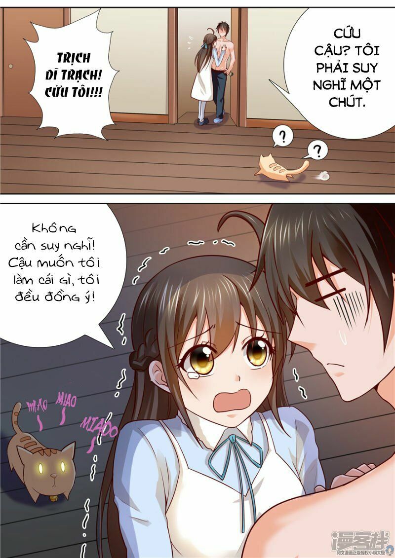 Người Thừa Kế Giá Đáo: Hiệu Thảo Làm Loạn Đủ Chưa?: Chapter 81