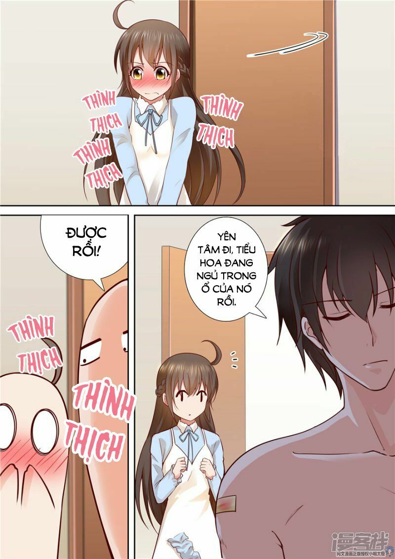 Người Thừa Kế Giá Đáo: Hiệu Thảo Làm Loạn Đủ Chưa?: Chapter 81