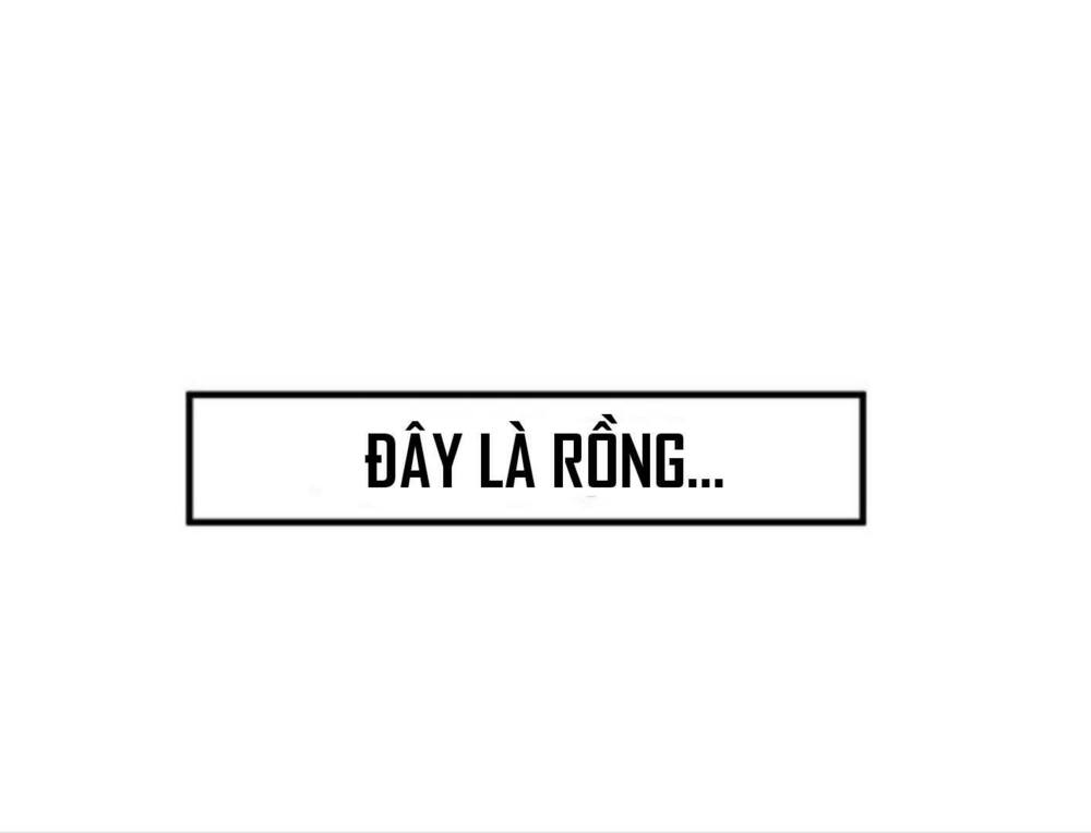 Anh Hùng Mạnh Nhất? Ta Không Làm Lâu Rồi!: Chapter 24
