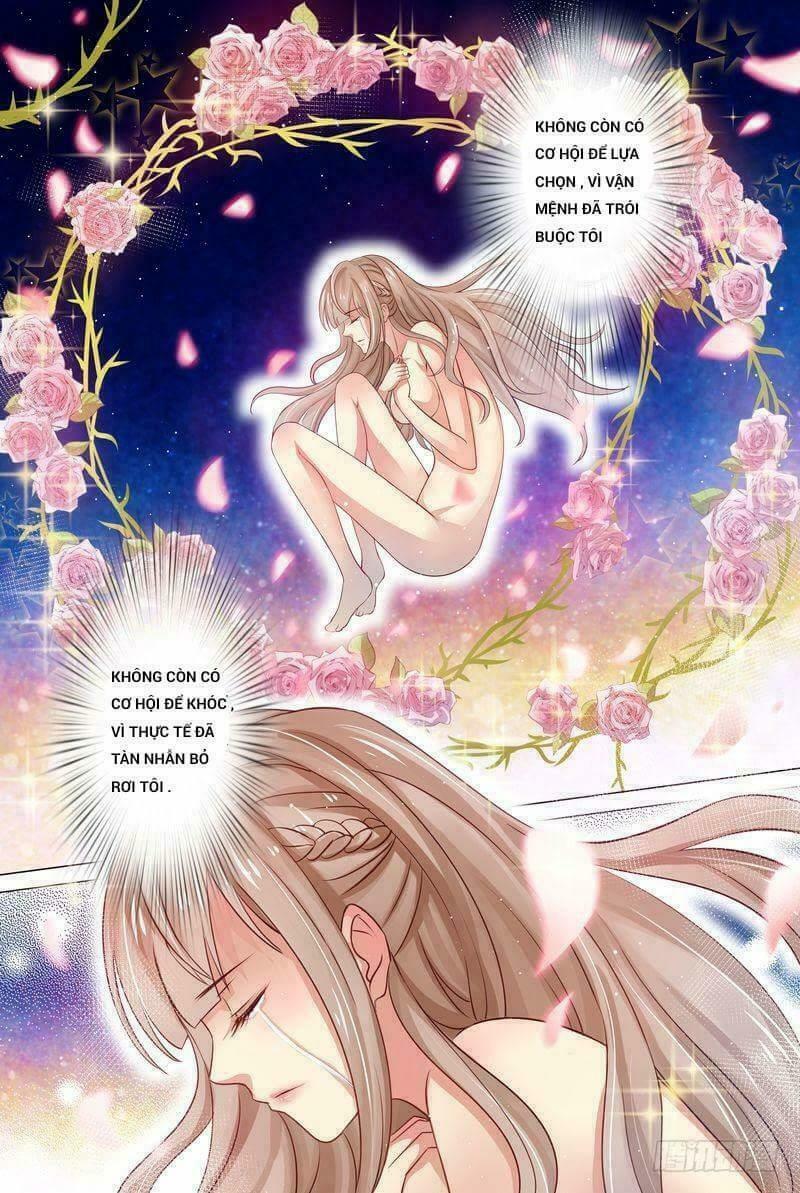 Cưng Chiều Vợ Yêu: Chapter 1
