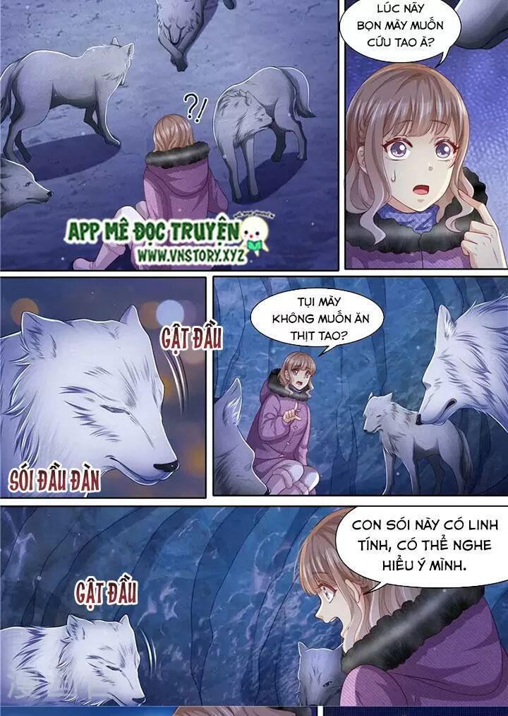 Cưng Chiều Vợ Yêu: Chapter 308: Đàn sói đến giúp