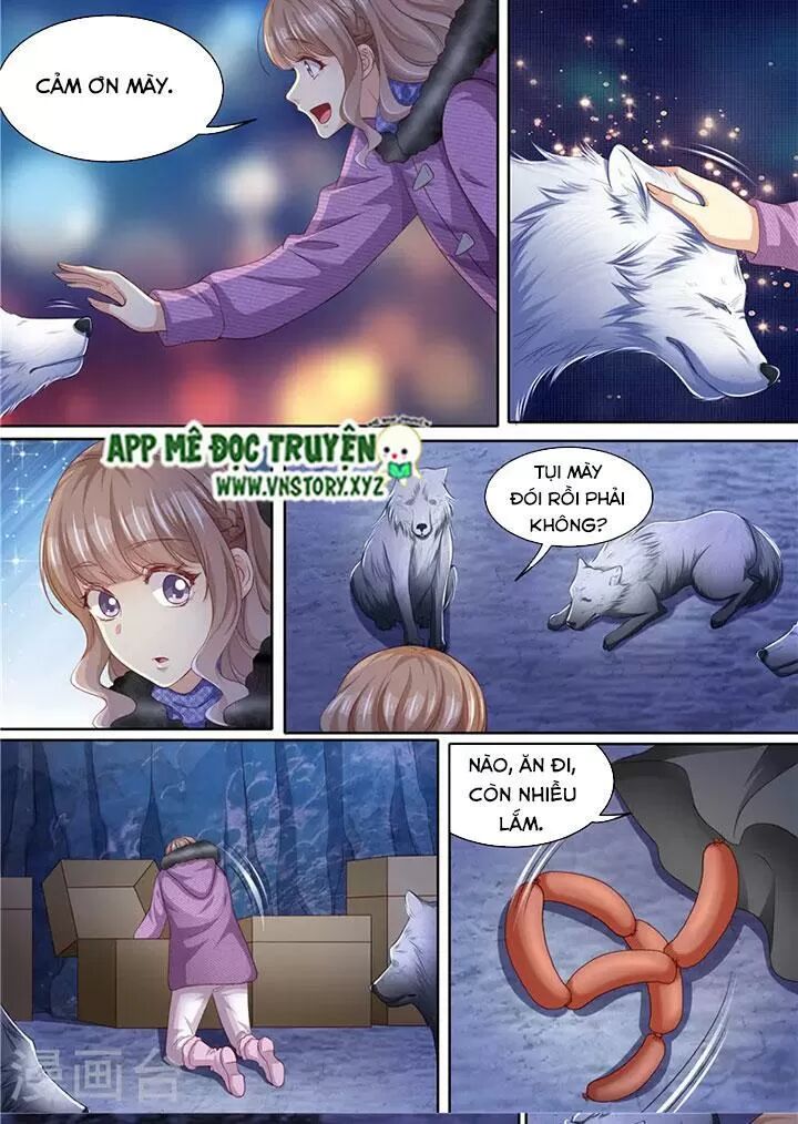 Cưng Chiều Vợ Yêu: Chapter 308: Đàn sói đến giúp