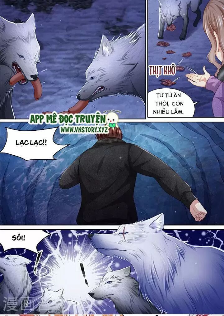 Cưng Chiều Vợ Yêu: Chapter 308: Đàn sói đến giúp